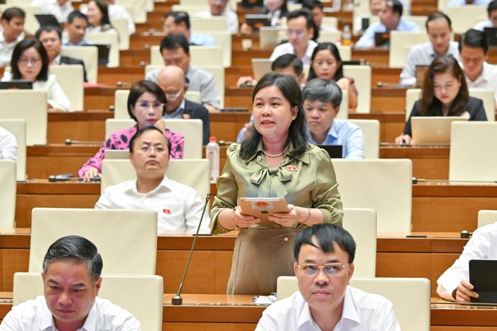 Đại biểu Nguyễn Phương Thủy