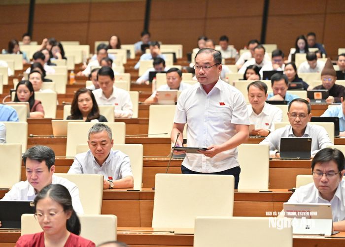 Đại biểu Nguyễn Ngọc Việt - Đoàn ĐBQH TP. Hà Nội phát biểu thảo luận. Ảnh: Viết Chung