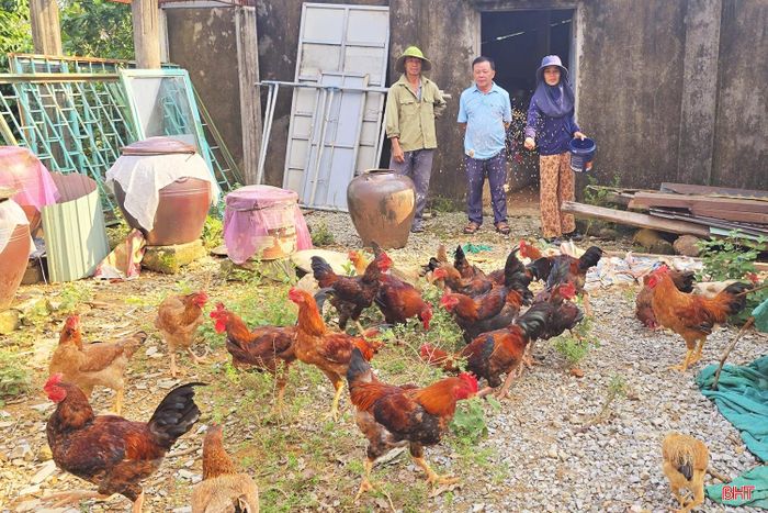 Lãnh đạo Hội Nông dân xã Kỳ Xuân thăm mô hình nuôi gà sinh kế của chị Trần Thị Hiền.