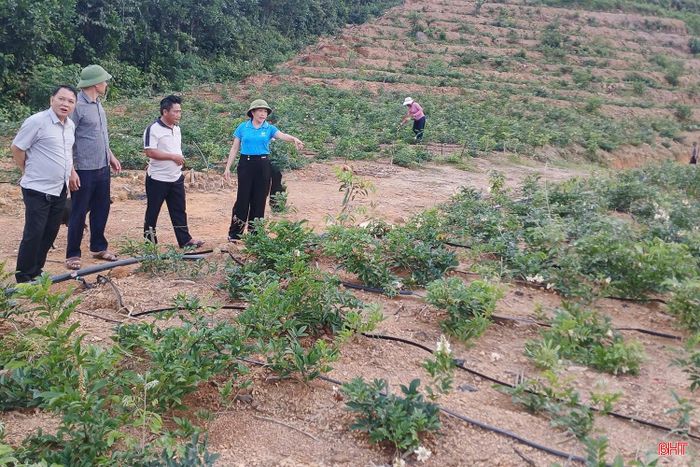 Người dân xã Thượng Đức đa dạng mô hình sản xuất nhằm ổn định sinh kế.