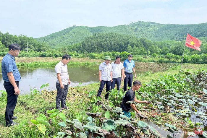 Lãnh đạo xã Thượng Đức tham quan mô hình nuôi ốc bươu đen của anh Lê Công Cường.
