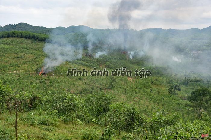Toàn cảnh thực binh "Đánh địch xâm nhập, bảo vệ biên giới".