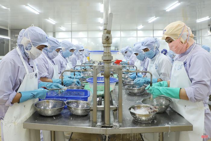 Năm 2026, Hà Tĩnh đặt mục tiêu kim ngạch xuất khẩu hàng hóa đạt 2,2 tỷ USD.