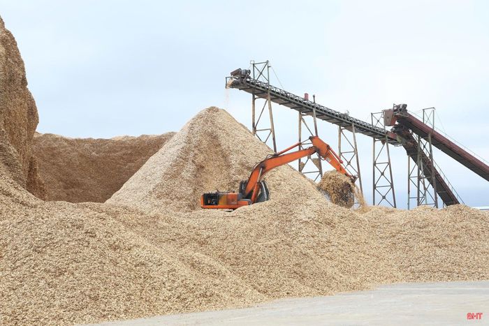 Kim ngạch xuất khẩu mặt hàng dăm gỗ của Hà Tĩnh tăng trưởng mạnh.