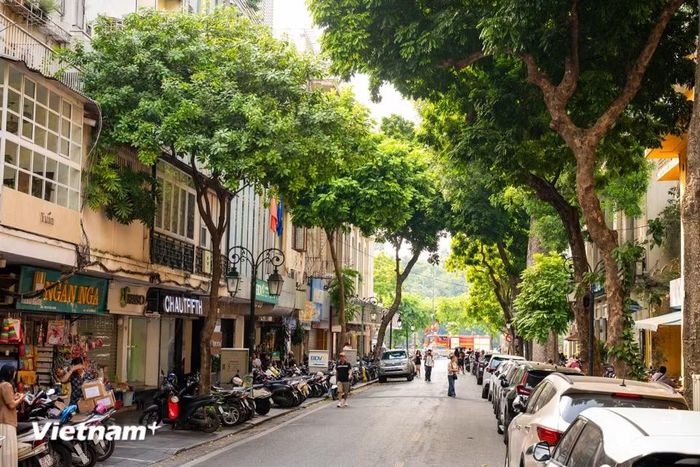 Nằm cạnh khu vực Bờ Hồ đông đúc, Đinh Lễ là một con phố nhỏ gắn liền với nhiều thế hệ người Hà Nội mê sách. Đây là nơi người ta tìm sách, dành hàng giờ lần giở từng trang giấy, hỏi han người bán về một cuốn sách hiếm, hay đơn giản là đi dạo giữa những giá sách để tìm một niềm vui bình dị. (Ảnh: Minh Sơn/Vietnam+)