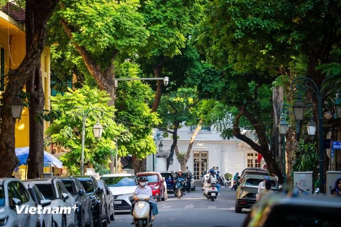 Có thời, nhắc đến mua sách ở Hà Nội, người ta nghĩ ngay đến Đinh Lễ. Con phố được xem là một trong những trung tâm sách lớn nhất Thủ đô, nơi hội tụ nhiều hiệu sách lớn nhỏ, từ sách giáo khoa, sách tham khảo đến văn học, lịch sử, nghệ thuật và những cuốn sách cũ đã qua tay nhiều người đọc. (Ảnh: Minh Sơn/Vietnam+)