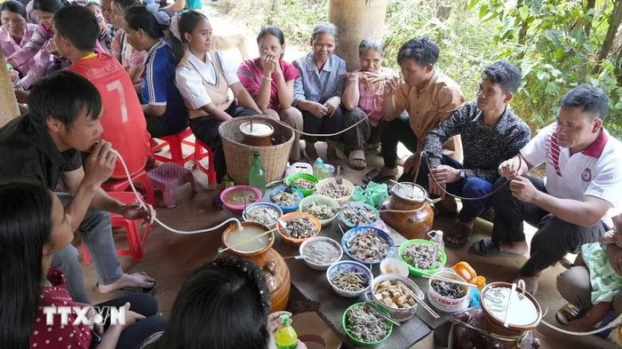 Đồng bào Xơ Đăng ở xã Đăk Tơ Kan, tỉnh Quảng Ngãi vui Lễ Mừng lúa mới. (Ảnh: Dư Toán/TTXVN)