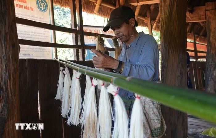 Người dân Xơ Đăng ở xã Đăk Tơ Kan, tỉnh Quảng Ngãi chuẩn bị cây nêu để tổ chức Lễ Mừng lúa mới. (Ảnh: Dư Toán/TTXVN)