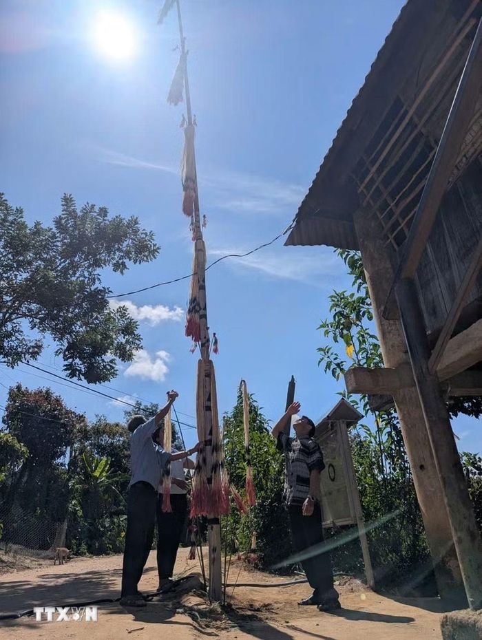 Cây nêu được dựng lên trong Lễ Mừng lúa mới của người Xơ Đăng để mong muốn và cảm tạ trời đất cho một vụ mùa bội thu. (Ảnh: Dư Toán/TTXVN)