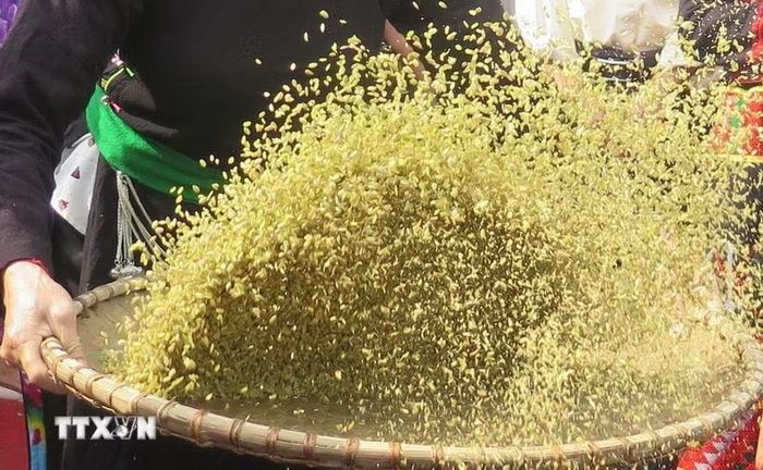 Sàng cốm. (Nguồn: TTXVN)