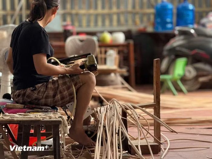 Với người Phú Vinh, hầu như ai sinh ra và lớn lên trong làng cũng biết đan, biết chẻ mây từ nhỏ. (Ảnh: Thái Hà/Vietnam+)