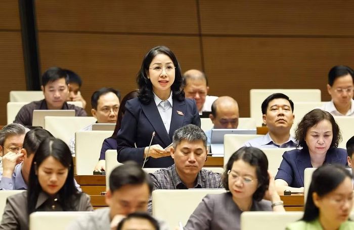 Đại biểu Phan Thị Thùy Linh, Đoàn ĐBQH tỉnh Thanh Hóa. (Ảnh: Doãn Tấn/TTXVN)