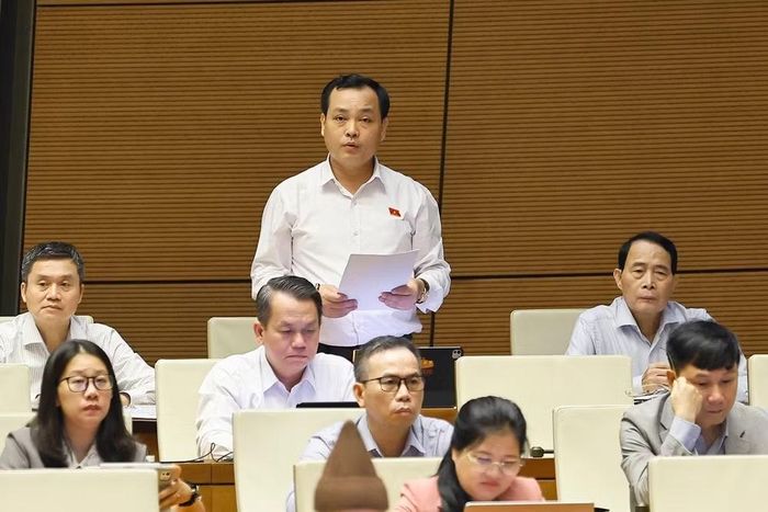 Đại biểu Lê Văn Đông, Đoàn ĐBQH Thành phố Hồ Chí Minh. (Ảnh: Doãn Tấn/TTXVN)