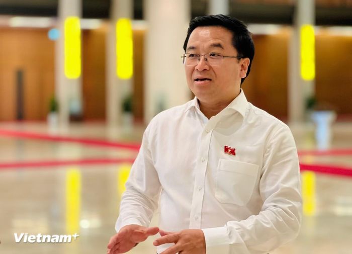 Phó Giáo sư, Tiến sỹ, Bí thư Đảng ủy, Hiệu trưởng trường Đại học Hải Phòng - đại biểu Quốc hội Bùi Xuân Hải. (Ảnh: Mai Anh/Vietnam+)