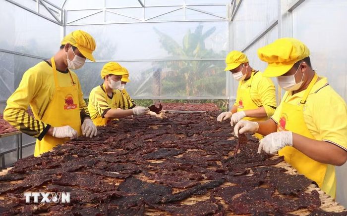 Hoạt động sản xuất tại một doanh nghiệp nhỏ và vừa ở Cà Mau. (Ảnh: Tuấn Phi/TTXVN)