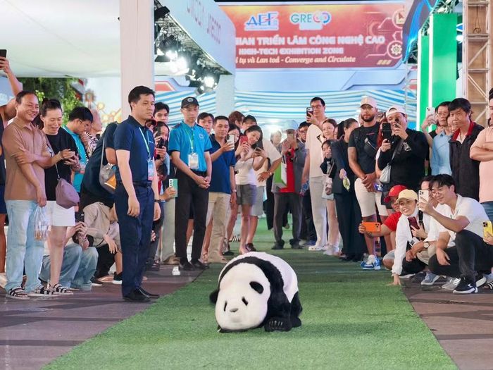 Người dân và du khách thích thú ghi hình robot trình diễn tại Không gian triển lãm công nghệ cao – Trình diễn robot, thuộc GRECO 2026, ở phố đi bộ Nguyễn Huệ.