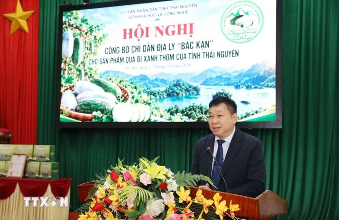 Ông Trần Lê Hồng, Phó Cục trưởng Cục Sở hữu trí tuệ, phát biểu tại hội nghị. (Ảnh: Vũ Hoàng Giang/TTXVN)