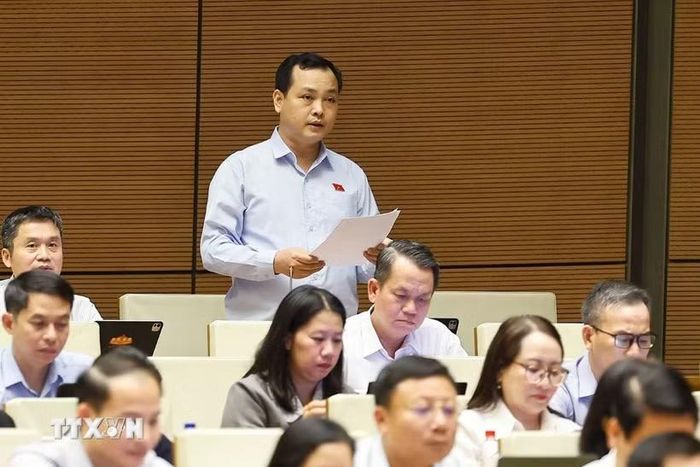 Đại biểu Quốc hội Thành phố Hồ Chí Minh Lê Văn Đông phát biểu. (Ảnh: Doãn Tấn/TTXVN)