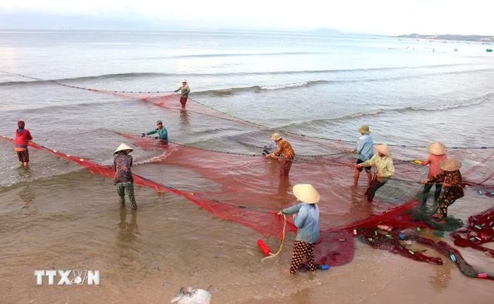 Ngư dân kéo lưới rùng tại vùng biển Mũi Né, tỉnh Lâm Đồng. (Ảnh: Hồng Hiếu/TTXVN)