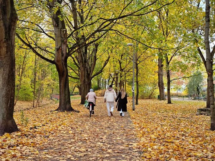Người dân đi dạo, đạp xe dưới những hàng cây đang chuyển màu lá ở Berlin.