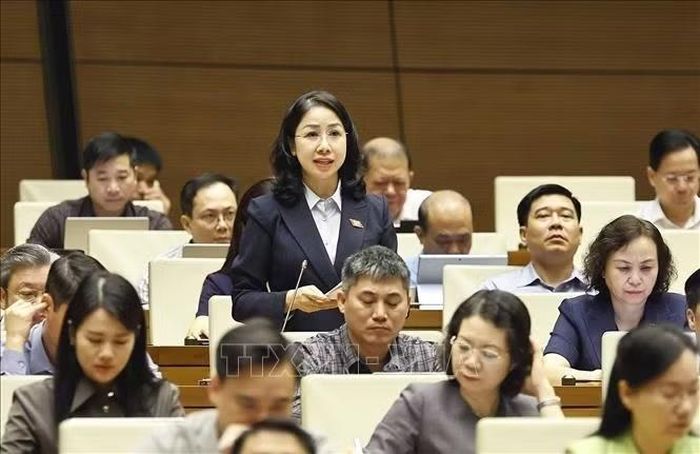 Đại biểu Quốc hội tỉnh Thanh Hoá Phan Thị Thùy Linh phát biểu. Ảnh: Doãn Tấn/TTXVN