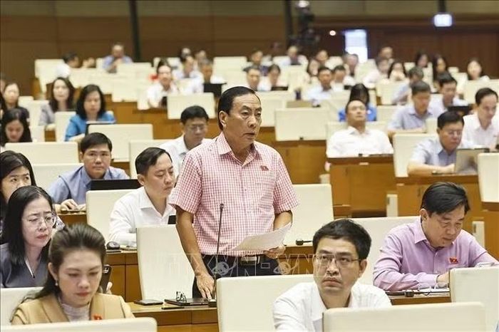 Đại biểu Quốc hội tỉnh Đồng Tháp Phạm Văn Hòa phát biểu. Ảnh: Doãn Tấn/TTXVN