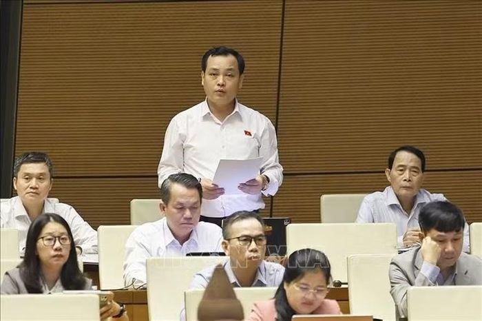 Đại biểu Quốc hội Thành phố Hồ Chí Minh Lê Văn Đông phát biểu. Ảnh: Doãn Tấn/TTXVN