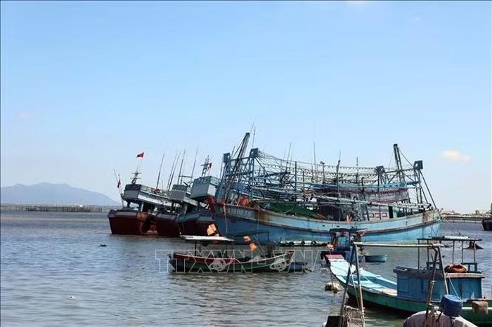 Tàu cá (màu xanh, đánh dấu đỏ dưới số hiệu tàu) không đủ điều kiện ra khơi neo đậu trên sông Bến Đình (phường Vũng Tàu) được Biên phòng quản lý chặt chẽ.