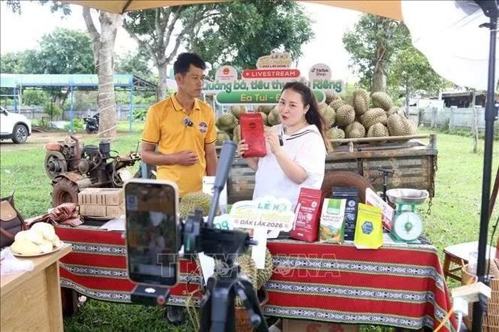 Bên cạnh sản phẩm sầu riêng, các phiên livestream ở Đắk Lắk còn quảng bá và bán sản phẩm OCOP và các nông sản chủ lực khác. Ảnh: Hoài Thu/TTXVN.