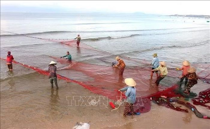 Ngư dân kéo lưới rùng tại vùng biển Mũi Né, tỉnh Lâm Đồng.