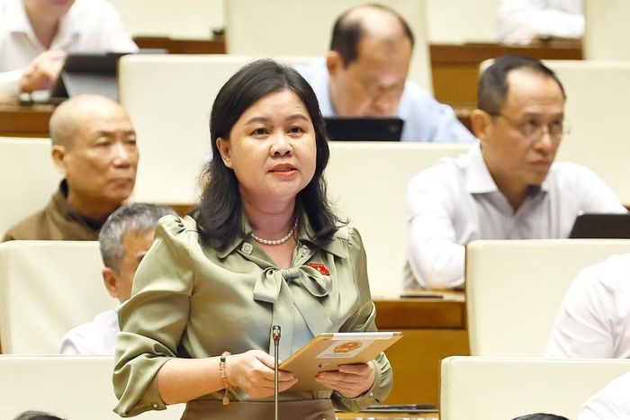 Đại biểu Quốc hội TP Hà Nội Nguyễn Phương Thuỷ phát biểu. Ảnh: Doãn Tấn/TTXVN