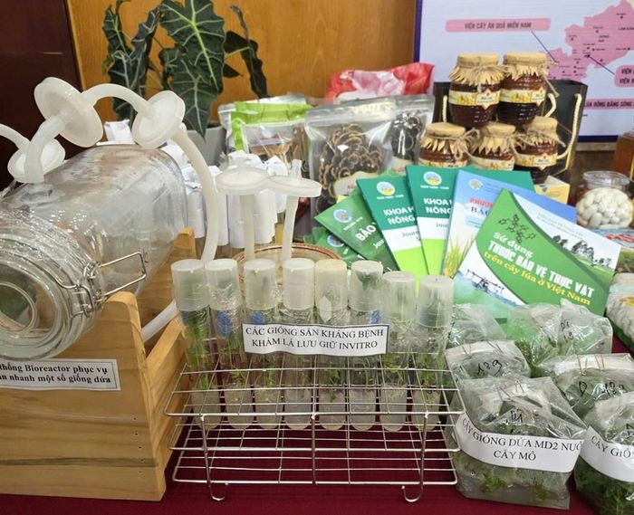 Nhiều giống cây trồng mới được giới thiêu bên lề hội nghị. Ảnh: Bích Hồng/Bnews/vnanet.vn