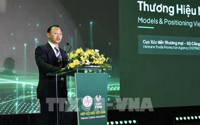Ông Trần Ngọc Hải, đại diện Cục Xúc tiến thương mại, Bộ Công Thương phát biểu tại Hội nghị. Ảnh: Xuân Anh - TTXVN