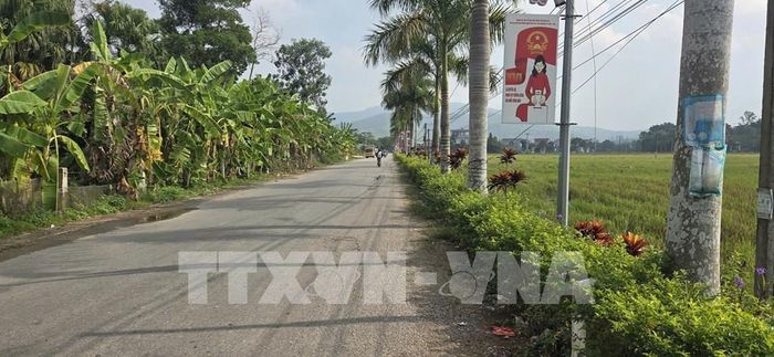 Tại xã Mậu Lâm, rác thải tồn đọng tại các điểm tập kết đã xử lý dứt điểm không còn các điểm tồn đọng. Ảnh: Khiếu Tư - TTXVN