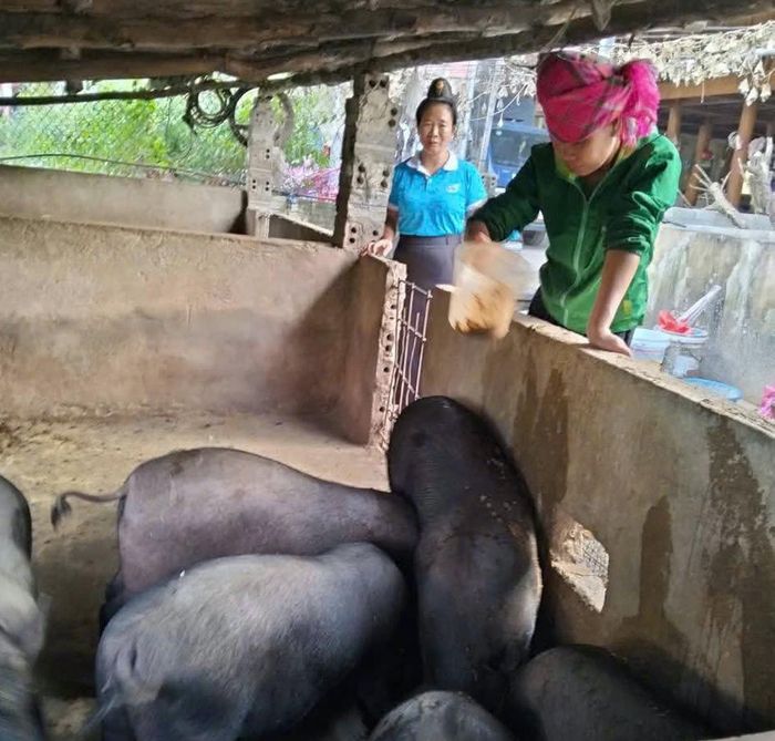 Hỗ trợ phụ nữ cần hướng đến việc làm, thu nhập ổn định và khả năng tự chủ cho chị em