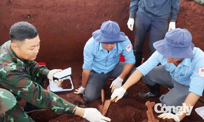 TP. Đồng Nai sơ kết Chiến dịch tìm kiếm, quy tập hài cốt liệt sĩ. (Ảnh: Nguyệt Hà)
