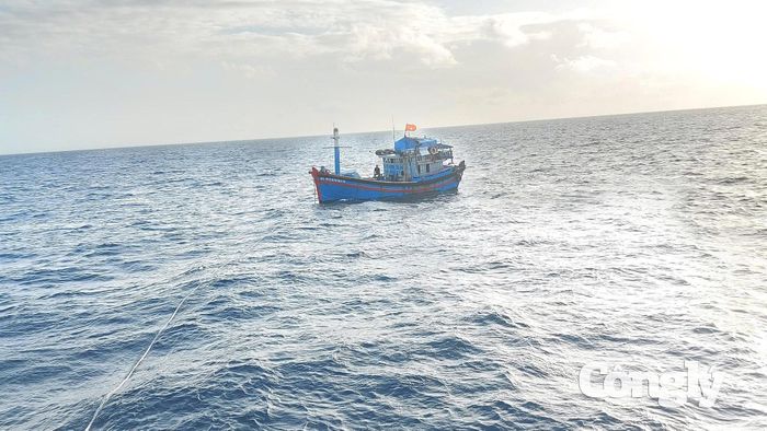 Khánh Hòa yêu cầu tăng cường kiểm soát tàu cá xuất, nhập bến.