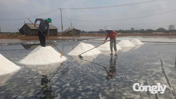 Giai đoạn 2026–2030, Cà Mau đặt mục tiêu duy trì khoảng 1.600ha sản xuất muối, nâng sản lượng lên 76.000 tấn/năm; diện tích muối trải bạt gắn với các hình thức hợp tác đạt 320ha.