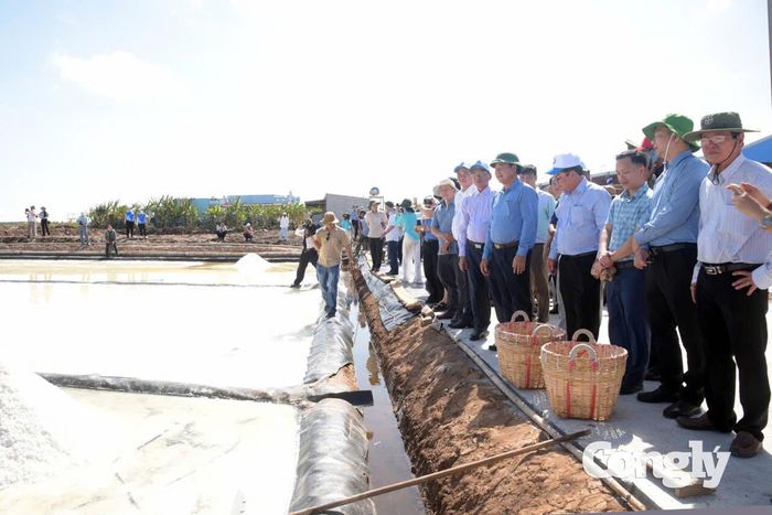 Kết hợp nghề muối với du lịch trải nghiệm là hướng đi được địa phương định hướng