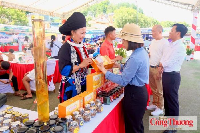 Các sản phẩm sâm Lai Châu được khách hàng tin dùng, lựa chọn trong các hội chợ.