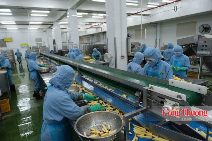 Ứng dụng khoa học, công nghệ vào chế biến nông sản ở Lâm Đồng.