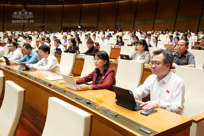 Các đại biểu tham gia phiên họp.