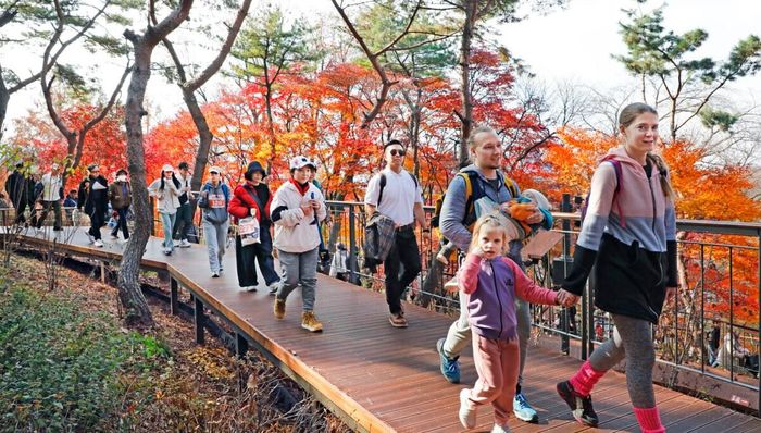 Lễ hội mùa thu Seoul dự kiến sẽ diễn ra từ ngày 1 - 30/11/2026. Ảnh: Korea JoongAng Daily