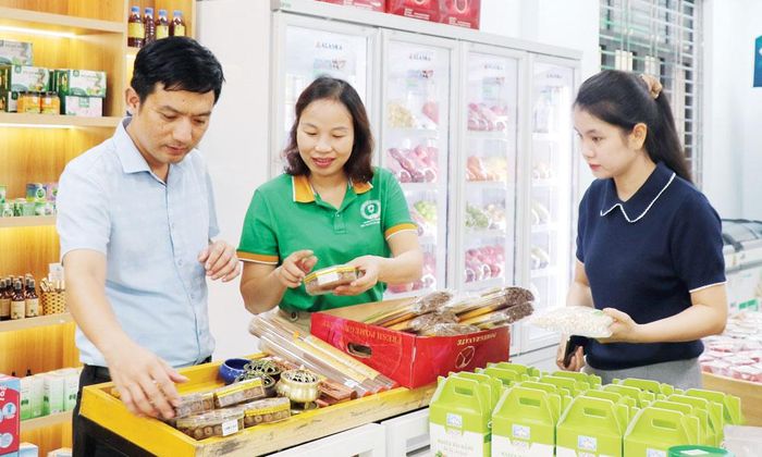 Nhiều sản phẩm của các hợp tác xã trên địa bàn được bày bán, giới thiệu tại Trung tâm Hỗ trợ phát triển hợp tác xã (Liên minh Hợp tác xã thành phố).