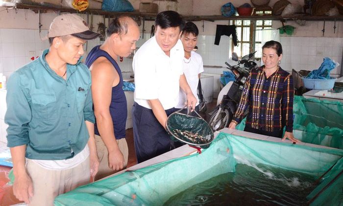  Công ty cổ phần MTT Việt Nam, phường Nam Sơn sản xuất cá giống cung cấp cho thị trường. 