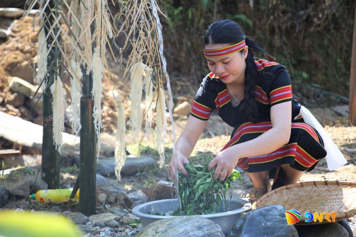 Phụ nữ M'Nông rửa rau từ nguồn nước chảy từ con suối Tăk Nam. Ảnh: ALĂNG NGƯỚC
