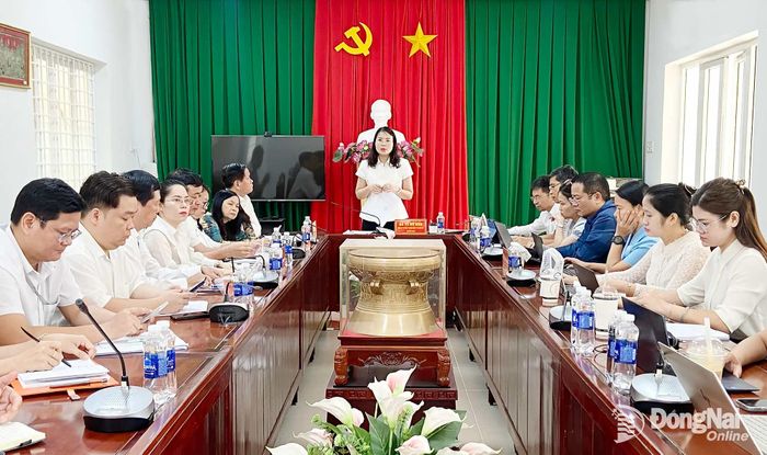 Bà Vũ Nữ Anh, Phó Vụ trưởng Vụ Bảo hiểm y tế (Bộ Y tế), trưởng đoàn kiểm tra phát biểu tại buổi làm việc với Sở Y tế. Ảnh: Thu Hảo