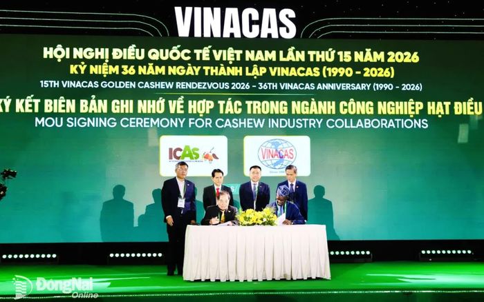 Hiệp hội Điều Việt Nam ký kết biên bản ghi nhớ hợp tác với đối tác trong ngành công nghiệp hạt điều. Ảnh: B.Nguyên