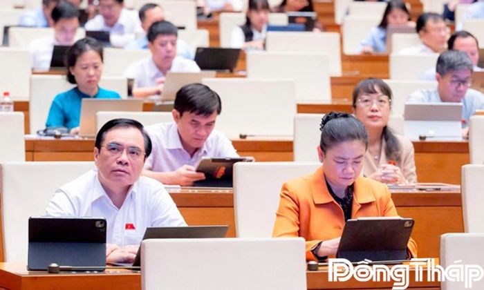 Quang cảnh phiên thảo luận tại hội trường.