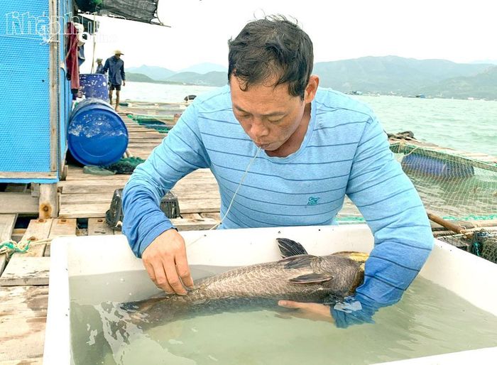 PGS.TS Ngô Văn Mạnh dành phần lớn thời gian nghiên cứu ngoài thực địa.